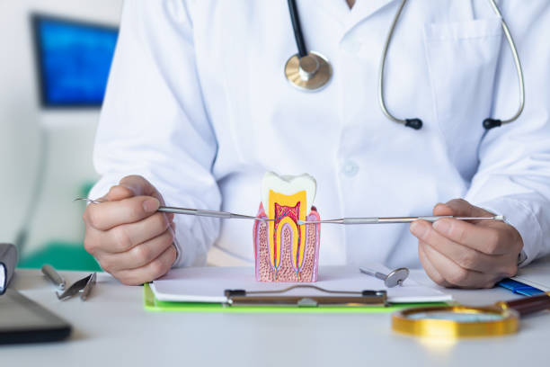 Best Broken or Cracked Tooth Emergency Dentist in Lexico, CA